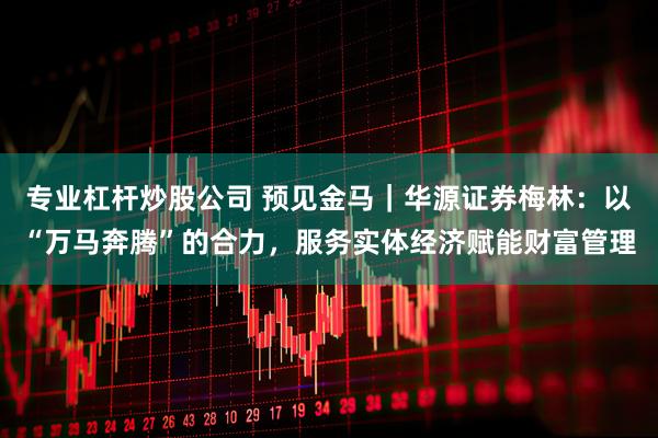 专业杠杆炒股公司 预见金马｜华源证券梅林：以“万马奔腾”的合力，服务实体经济赋能财富管理